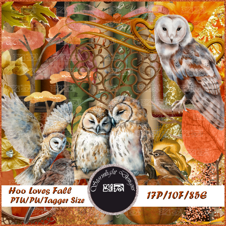 (image for) Hoo Loves Fall